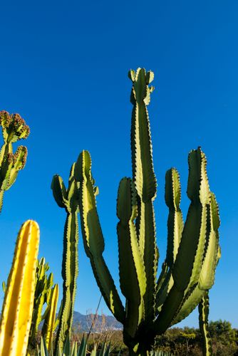 04EL141