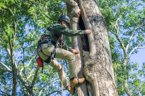 12MA029