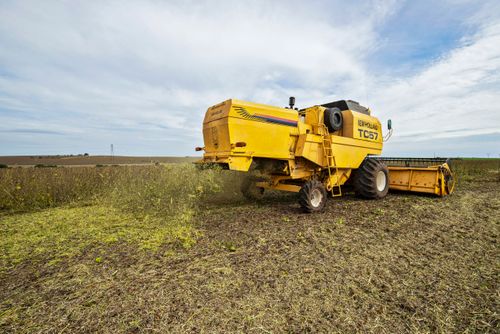 19GG890