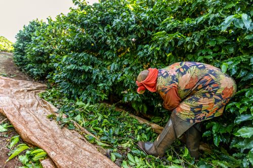 38ER310