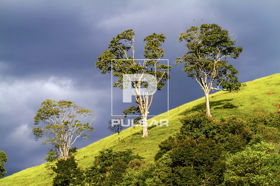 Campos de altitude - Parque Estadual da Serra do Papagaio