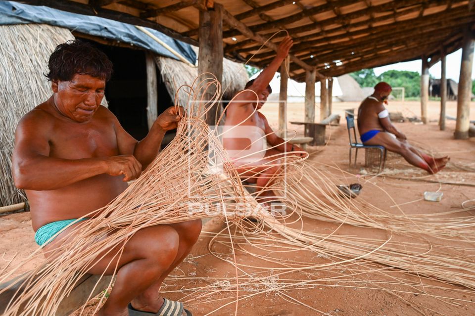 Indígenas da etnia Wauja fazendo cesto armadilha covo de cipó para pegar peixe - Parque Indígena do Xingu