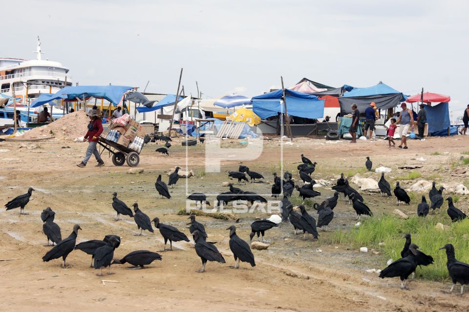 Porto da Manaus Moderna durante a seca do Rio Negro e urubus procurando alimento