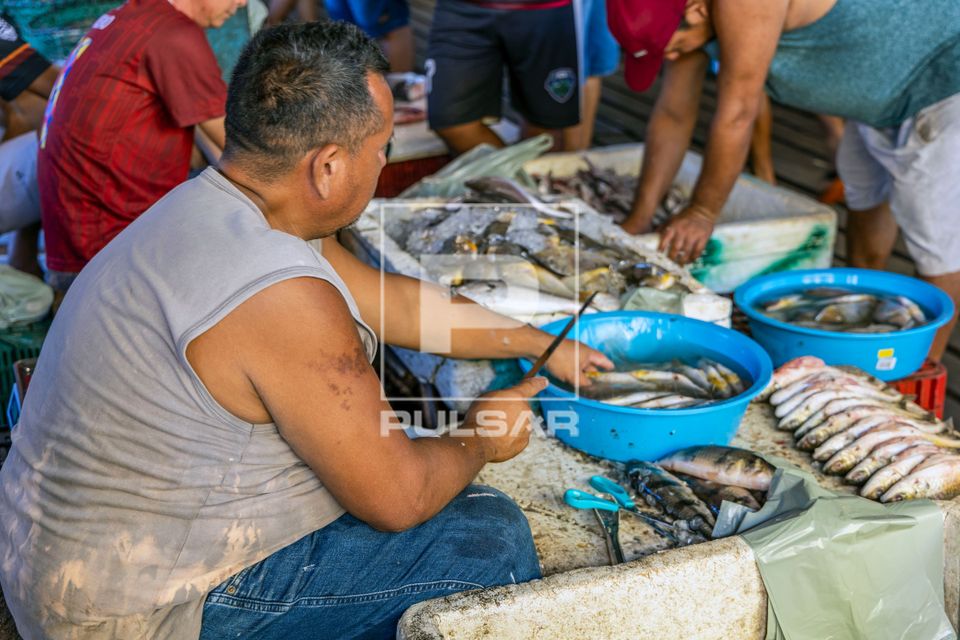 Peixaria do Mercado Municipal - peixeiro limpando o pescado para venda