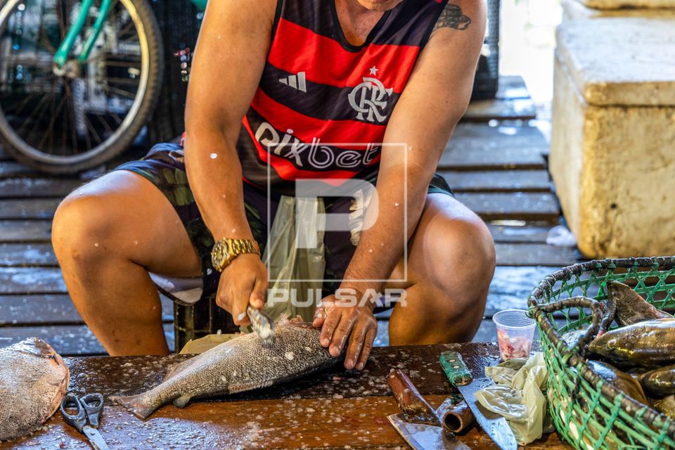 Peixaria do Mercado Municipal - peixeiro limpando o pescado para venda