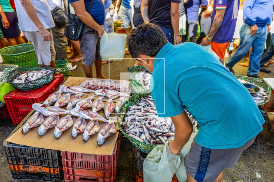 Peixaria do Mercado Municipal