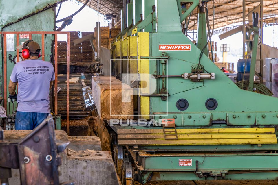 Trabalhador operando serra-fita para corte de tora de madeira em Serraria