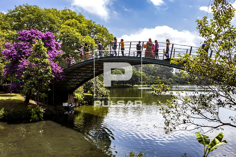 Pessoas em ponte no Parque do Ibirapuera