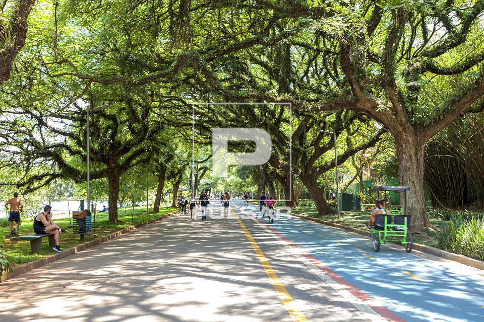 Pista para caminhada e ciclovia no Parque do Ibirapuera