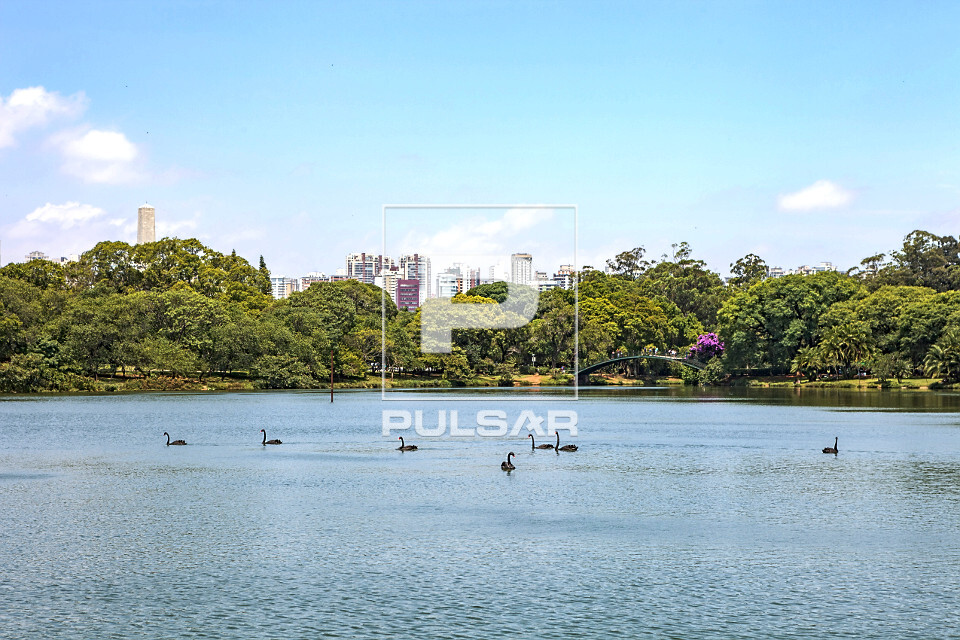 Lago do Parque do Ibirapuera