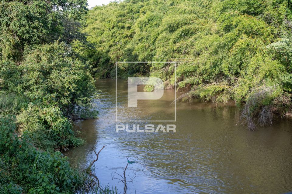 Mata ciliar no Rio das Mortes