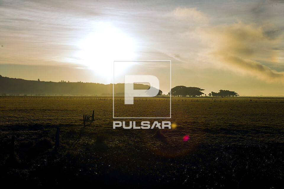 Paisagem rural nas margens da rodovia BR-101 - 