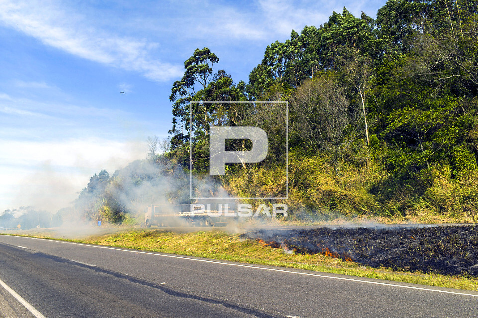 Queimada nas margens da rodovia BR-101 - 