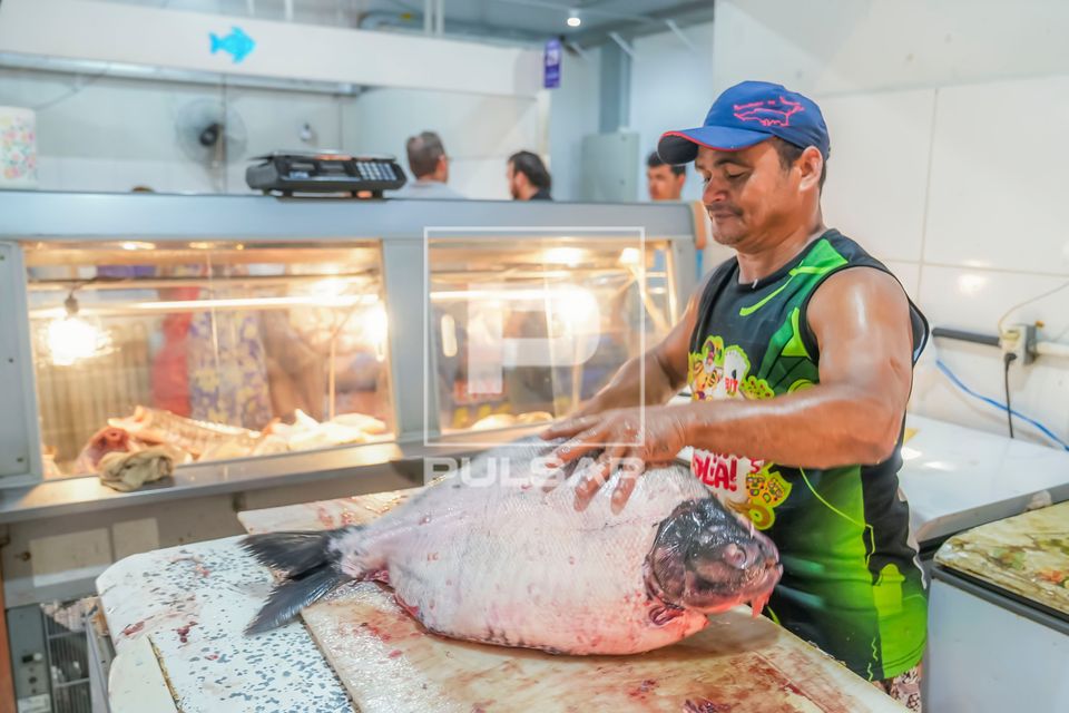 Peixeiro limpando um Tambaqui em peixaria do Mercado Municipal Elias Mansour - Novo Mercado Velho