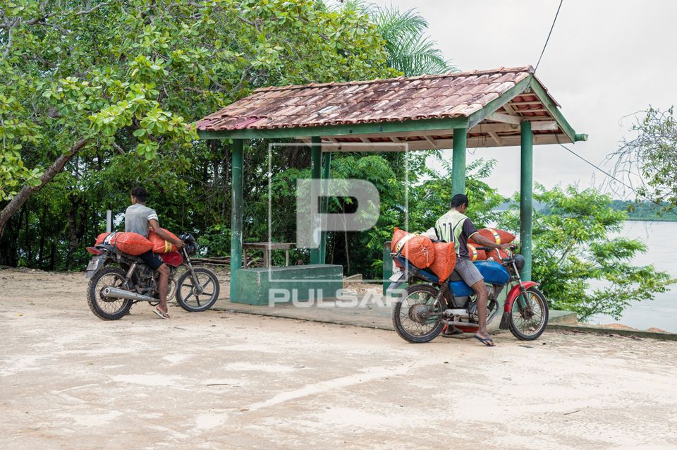 Transporte de bacaba - frutos da bacabeira - da comunidade quilombola e ribeirinha de Mangabeira para venda no