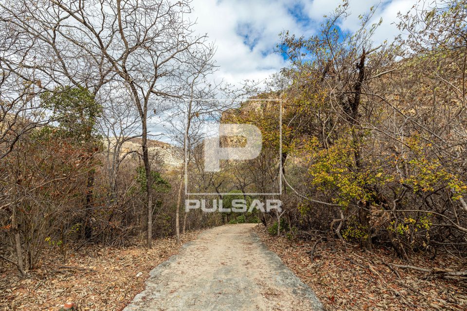 Caatinga secando no fim do outono no Parque Nacional da Serra da Capivara