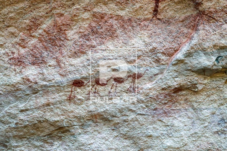 Pinturas rupestres da Toca do Sítio do Meio - Parque Nacional da Serra da Capivara