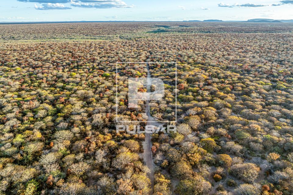 Vista de drone da mata de caatinga secando no fim do outono - Parque Nacional da Serra da Capivara