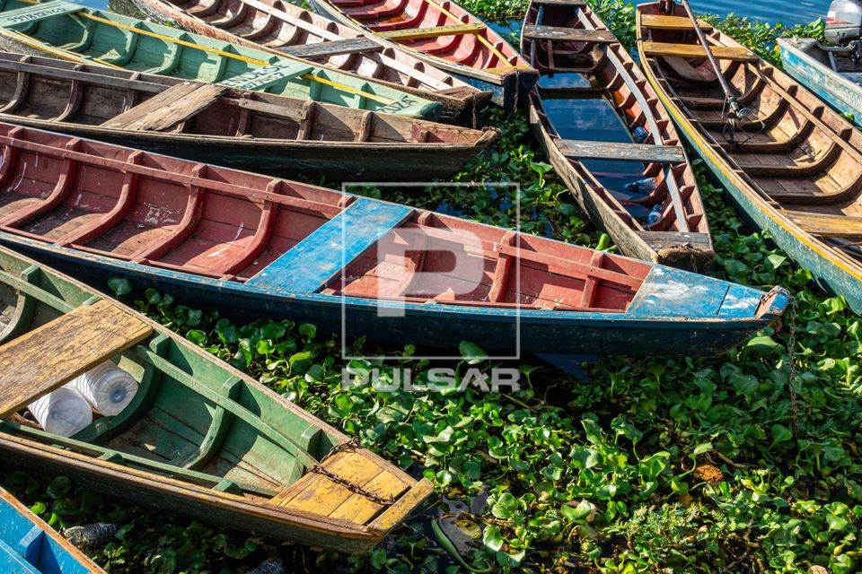 Barcos de pesca no Rio Poti 
