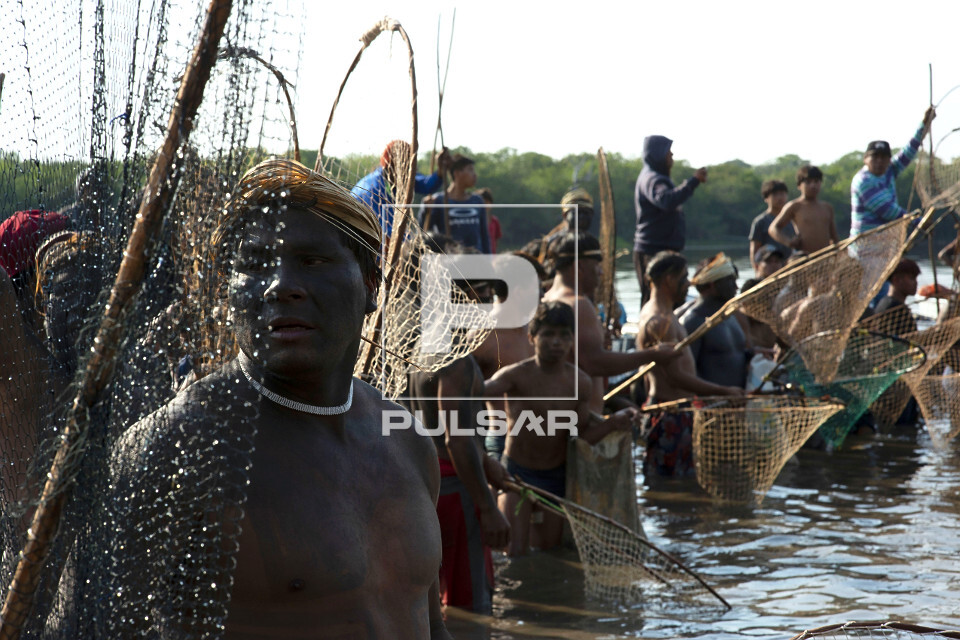 Indígenas da etnia Waurá da Aldeia Piyulaga usando puçá na grande ...