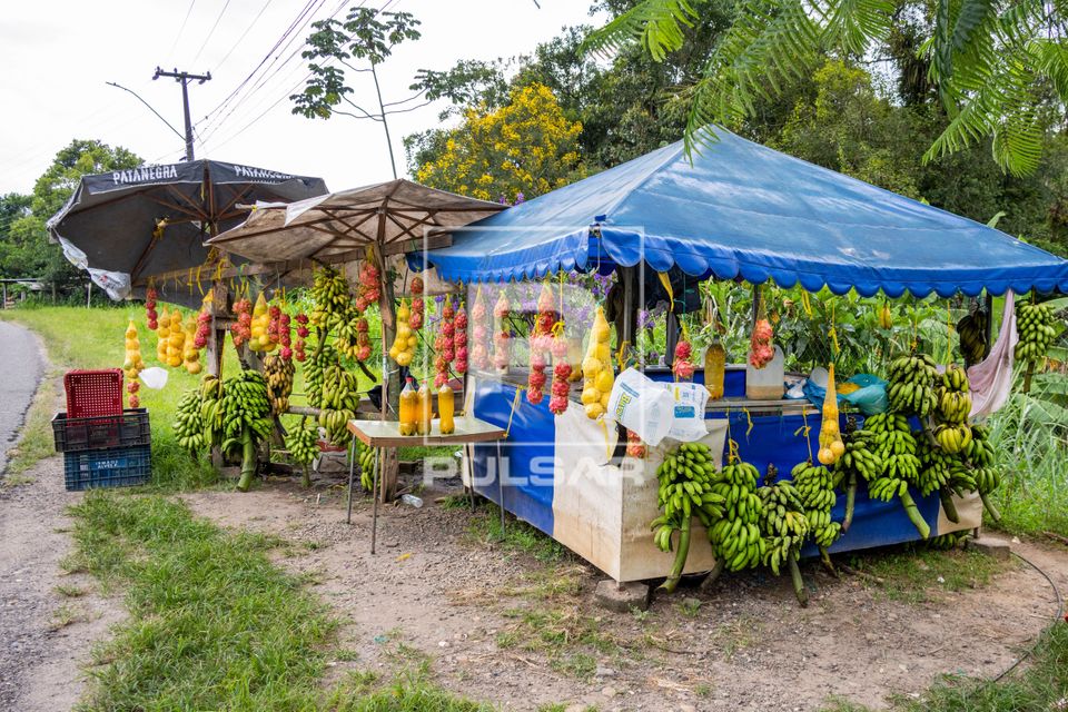 Banca de frutas na margem da Rodovia PR-408