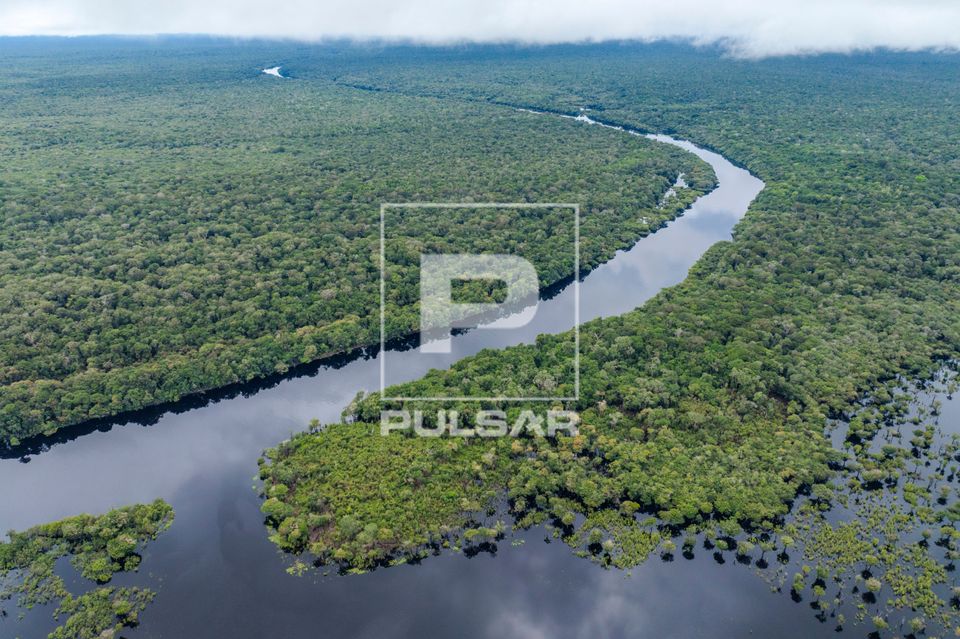Vista de drone da foz do Rio Carabinani no Parque Nacional do Jaú