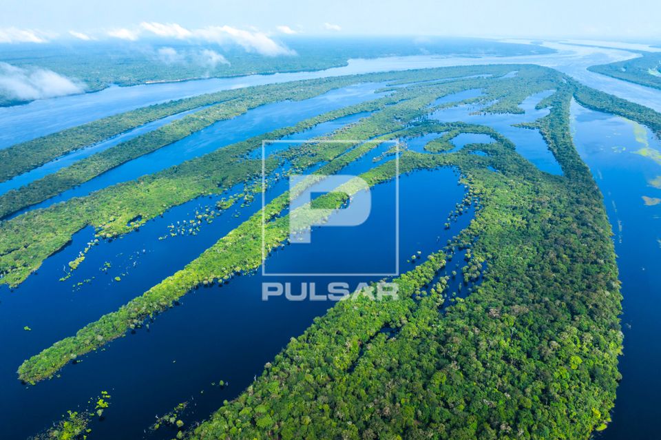Vista de drone do Parque Nacional de Anavilhanas 