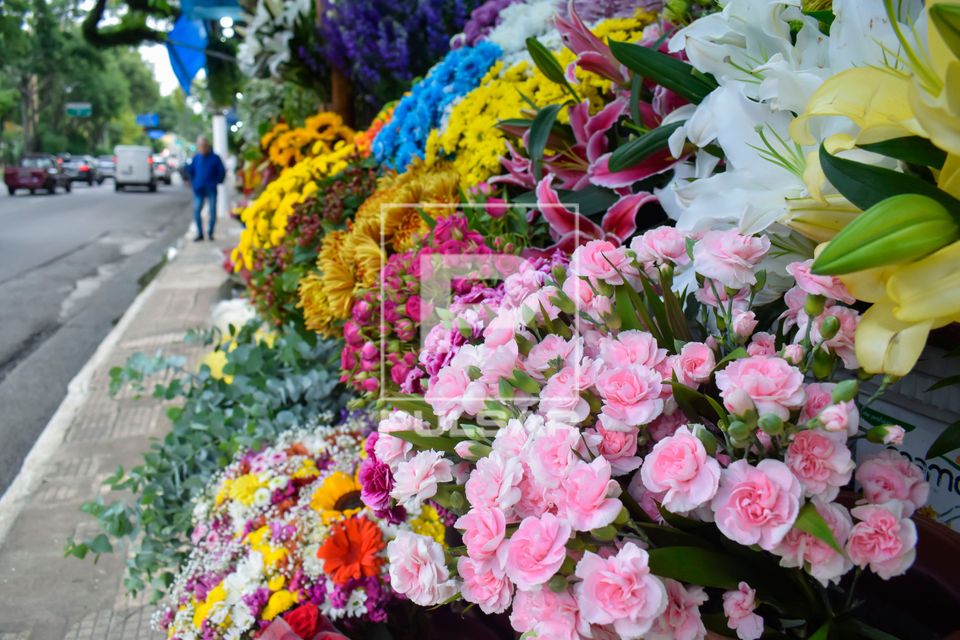 Bancas de flores na Avenida Doutor Arnaldo