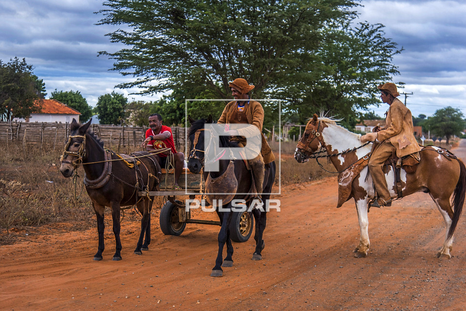 Carroca Puxada Por Cavalos Fundo Carroça Tradicional Puxada A Cavalo