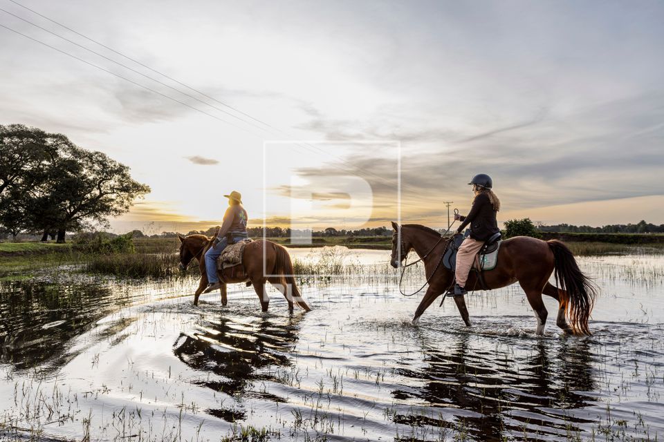 Turista e guia Pantaneiro andando a cavalo em área alagável de propriedade rural ao entardecer - Pantanal Su