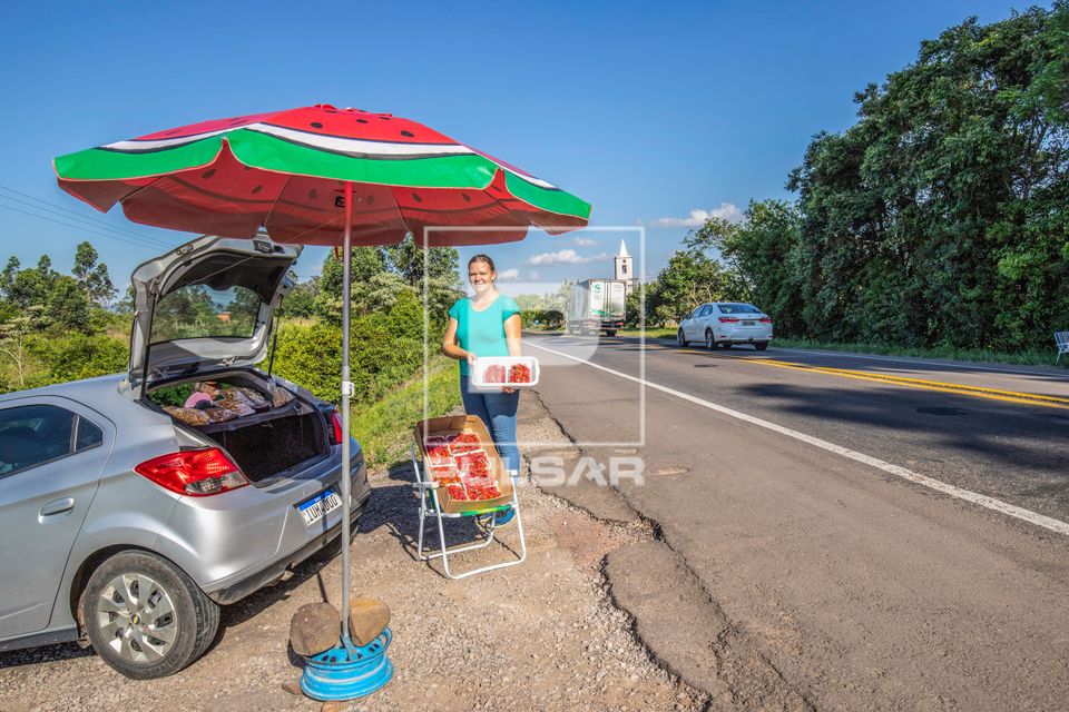 Agricultora vendendo moranguinhos produzidos em sua propriedade na margem da BR-287