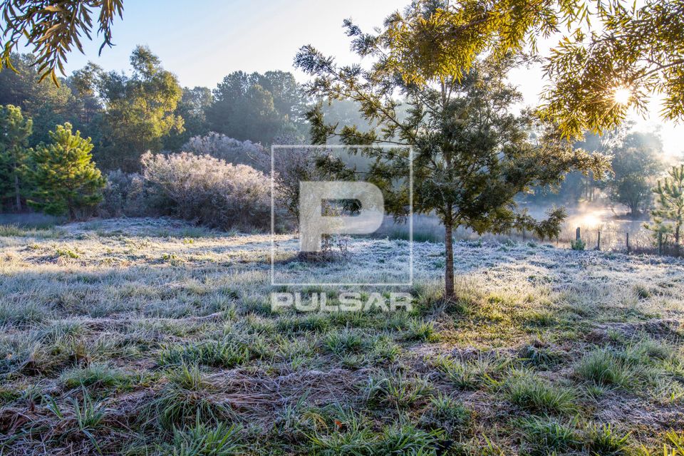 Gramado congelado por geada no campus da ULBRA Universidade Luterana do Brasil