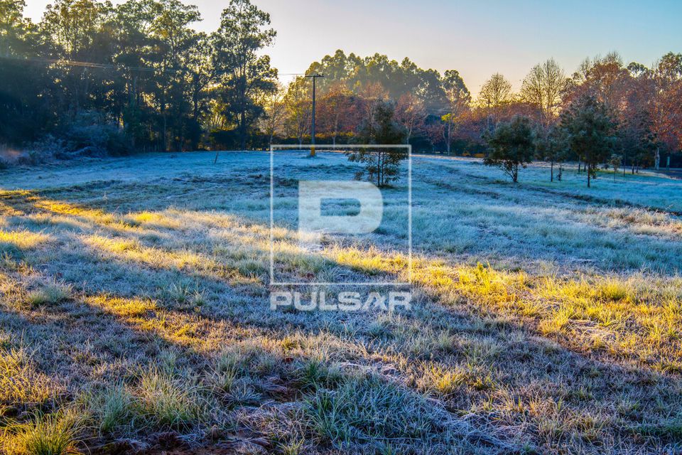 Gramado congelado por geada no campus da ULBRA Universidade Luterana do Brasil