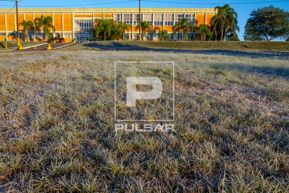 Gramado congelado por geada no campus da ULBRA Universidade Luterana do Brasil