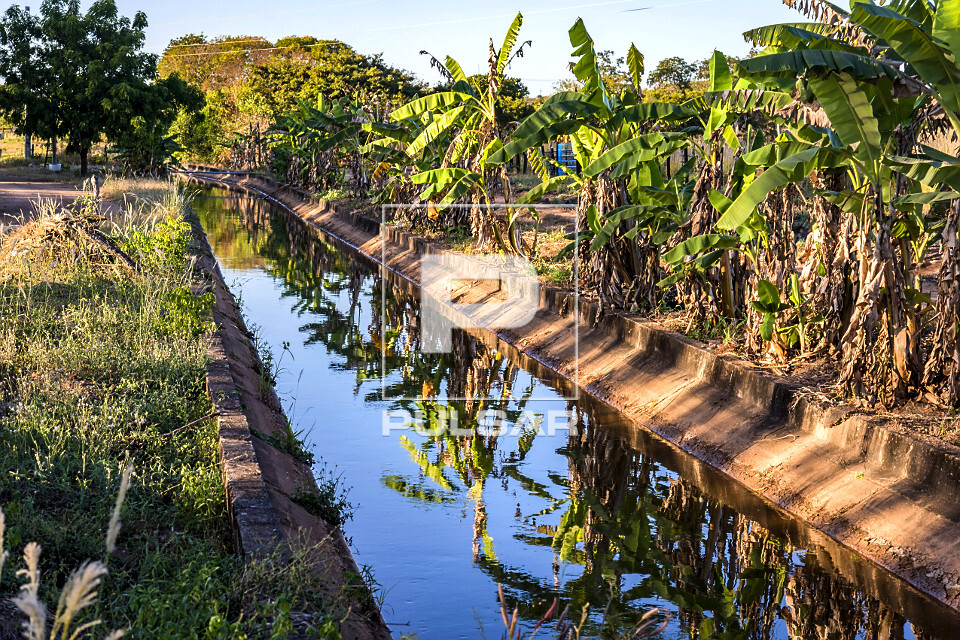 Canal de irrigação do Rio São Desidério | Pulsar Imagens | Banco ...