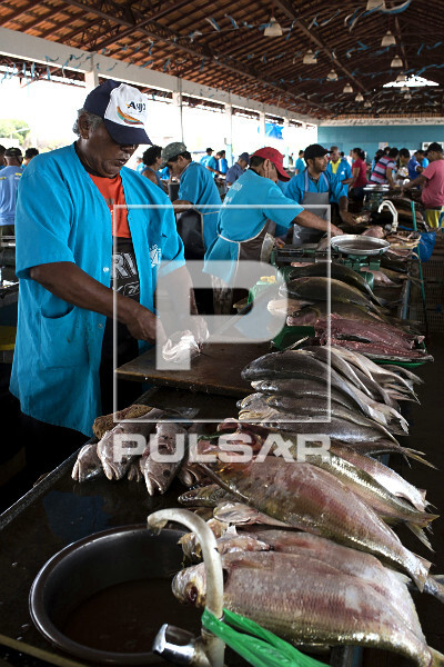Peixeiros limpando pescado no mercado de peixes