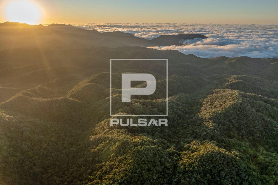 Vista de drone do Parque Estadual da Serra do Mar