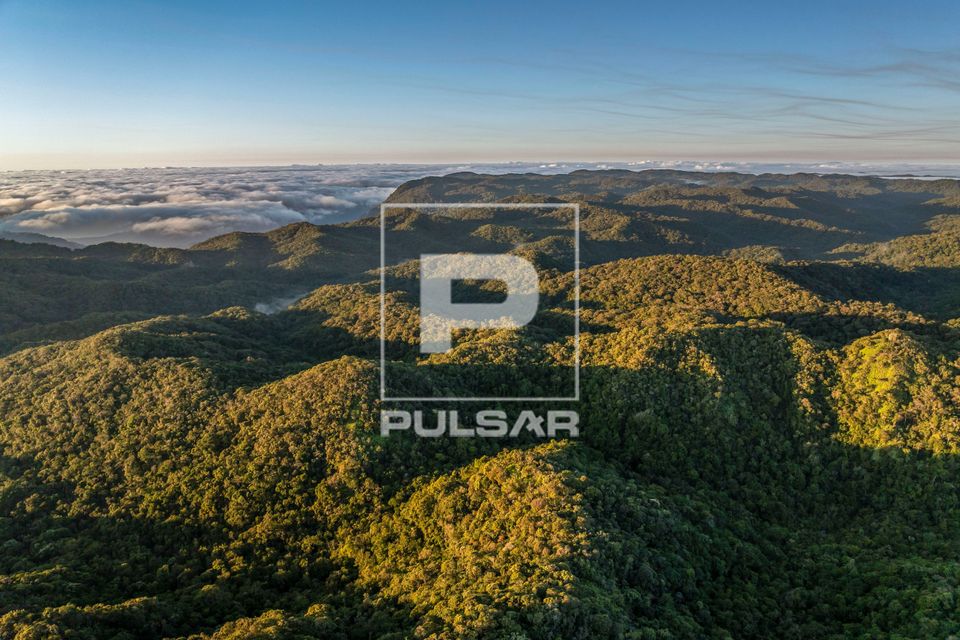 Vista de drone do Parque Estadual da Serra do Mar
