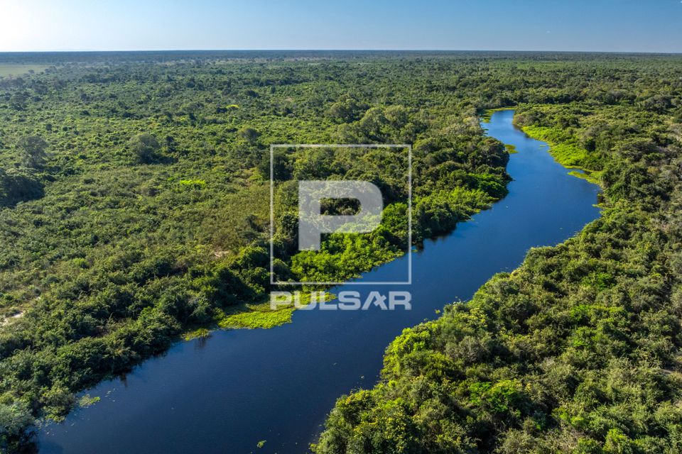 Vista de drone do Rio Pixaim - Pantanal
