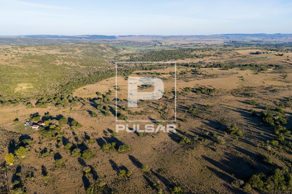 Vista de drone de propriedade rural no Pampa