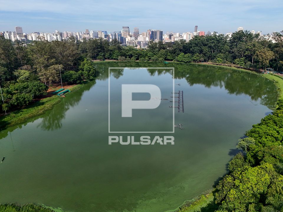 Vista de drone do lago no Parque Ibirapuera