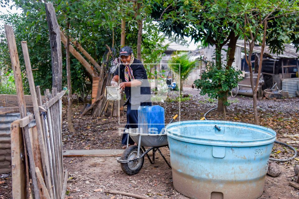 Quilombola levando farelo misturado com manipueira para alimentar porcos no Quilombo Mata Cavalo de Baixo - co