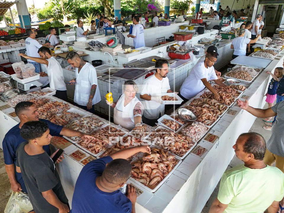 Bancas de peixes e frutos do mar do Mercado Municipal de Pescados de Ubatuba