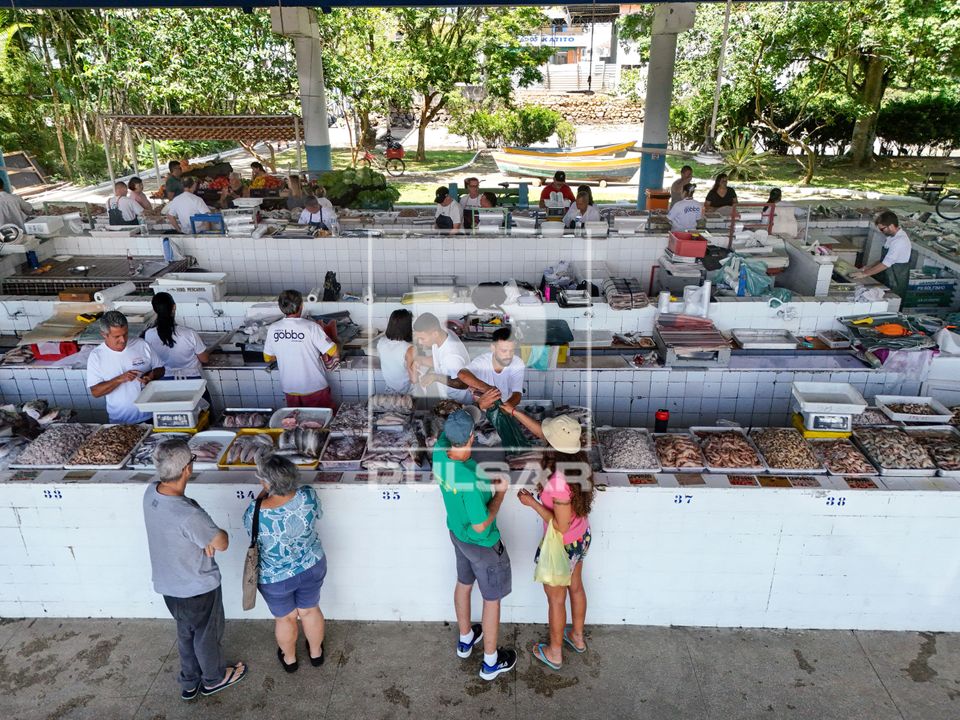 Bancas de peixes e frutos do mar do Mercado Municipal de Pescados de Ubatuba