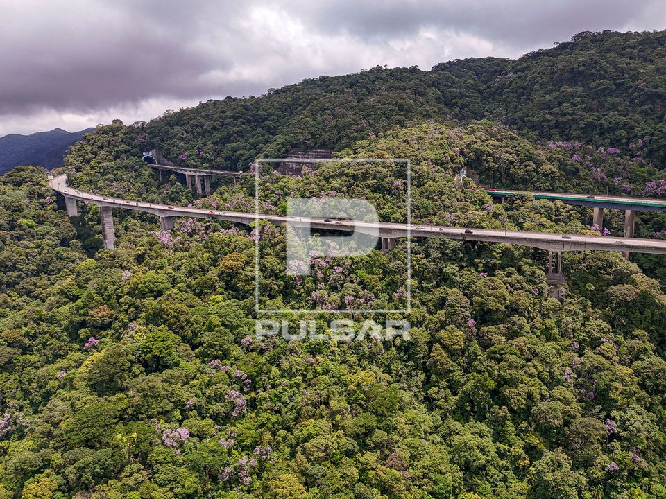 Vista de drone de viadutos na Rodovia Imigrantes SP-160 - Parque Estadual da Serra do Mar