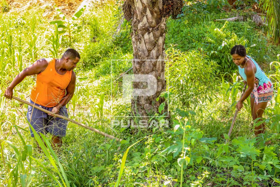 Casal de agricultores capinando - Quilombo Alto Terra Nova - certificado como remanescente de quilombo pela Fu