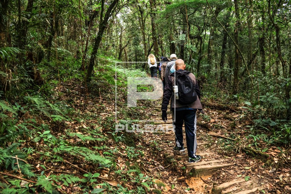Ecoturistas em trilha do Parque das Neblinas - Instituto Ecofuturo - zona de amortecimento do Parque Estadual 
