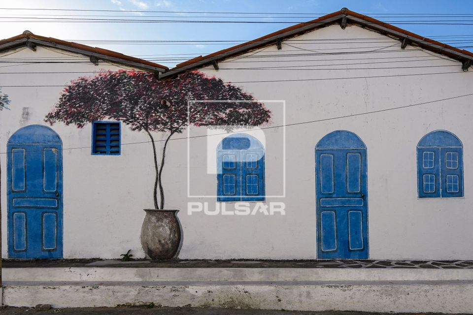 Pintura em fachada de casa representando portas - janelas e vaso com árvore