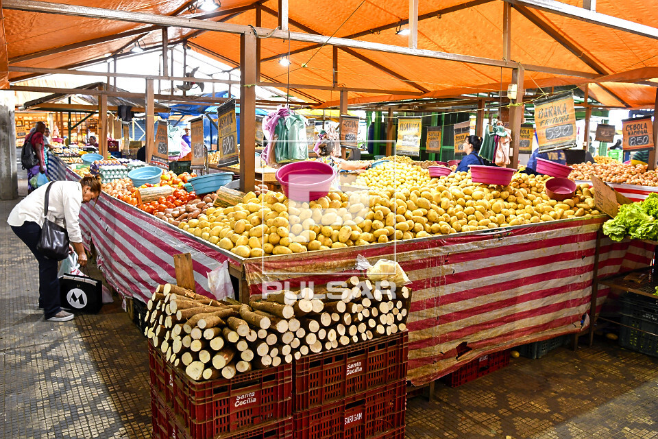 Venda de batata inglesa e mandioca em banca no Mercado Municipal