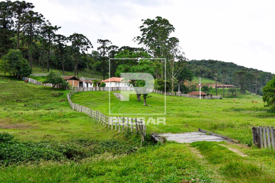 Mata burro em propriedade rural